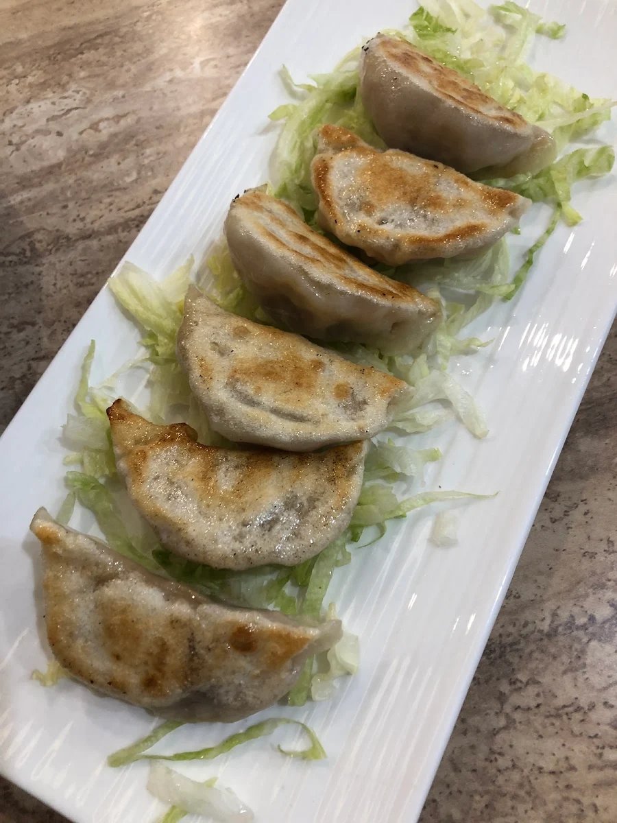panfried mongolian beef dumpling 煎蒙古牛肉饺6pcs, Fortune Dumpling